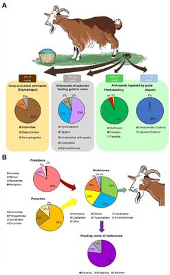 Frontiers | Molecular identification of individual and seasonal